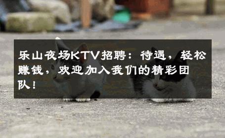 乐山夜场KTV招聘：待遇，轻松赚钱，欢迎加入我们的精彩团队！