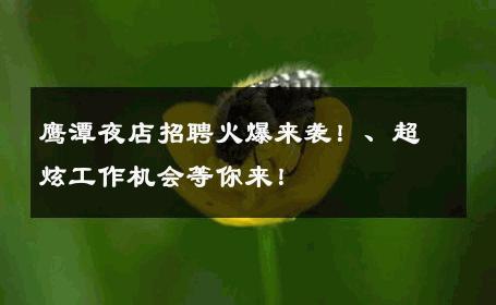 鹰潭夜店招聘火爆来袭！、超炫工作机会等你来！