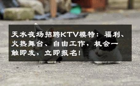 天水夜场招聘KTV模特：福利、火热舞台、自由工作，机会一触即发，立即报名！