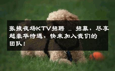 张掖夜场KTV招聘 _ 招募，尽享超豪华待遇，快来加入我们的团队！
