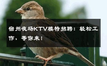 宿州夜场KTV模特招聘：轻松工作，等你来！