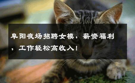 阜阳夜场招聘女模，薪资福利，工作轻松高收入！