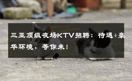 三亚顶级夜场KTV招聘：待遇+豪华环境，等你来！