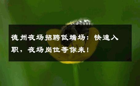 德州夜场招聘低端场：快速入职，夜场岗位等你来！