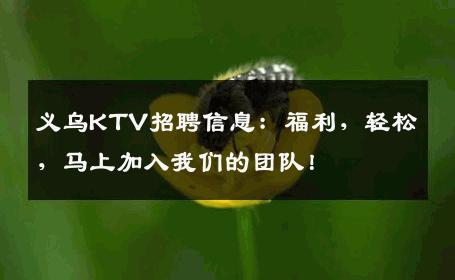 义乌KTV招聘信息：福利，轻松，马上加入我们的团队！