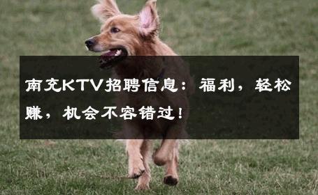 南充KTV招聘信息：福利，轻松赚，机会不容错过！