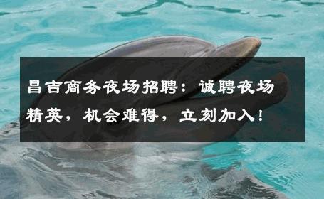 昌吉商务夜场招聘：诚聘夜场精英，机会难得，立刻加入！