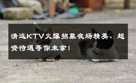 清远KTV火爆招募夜场精英，超资待遇等你来拿！