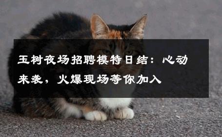 玉树夜场招聘模特日结：心动来袭，火爆现场等你加入