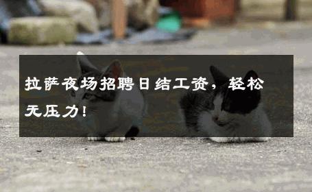 拉萨夜场招聘日结工资，轻松无压力！