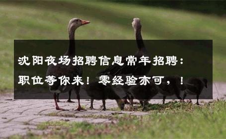 沈阳夜场招聘信息常年招聘：职位等你来！零经验亦可，！