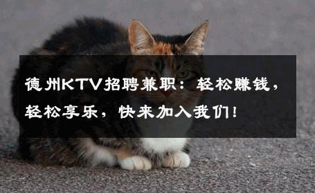 德州KTV招聘兼职：轻松赚钱，轻松享乐，快来加入我们！