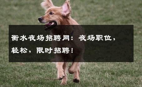 衡水夜场招聘网：夜场职位，轻松，限时招聘！