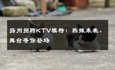 扬州招聘KTV模特：热辣来袭，舞台等你登场