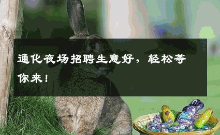通化夜场招聘生意好，轻松等你来！