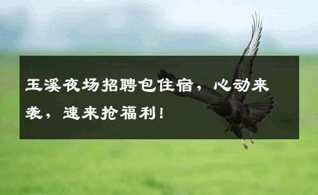 玉溪夜场招聘包住宿，心动来袭，速来抢福利！