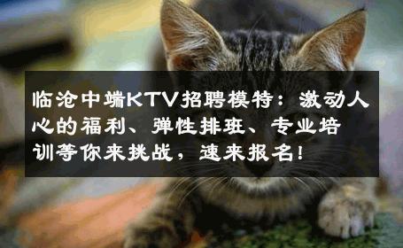 临沧中端KTV招聘模特：激动人心的福利、弹性排班、专业培训等你来挑战，速来报名！