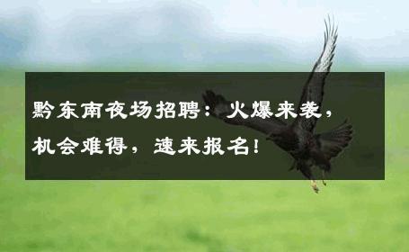 黔东南夜场招聘：火爆来袭，机会难得，速来报名！