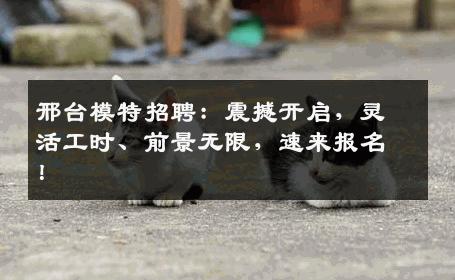 邢台模特招聘：震撼开启，灵活工时、前景无限，速来报名！