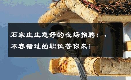 石家庄生意好的夜场招聘：，不容错过的职位等你来！