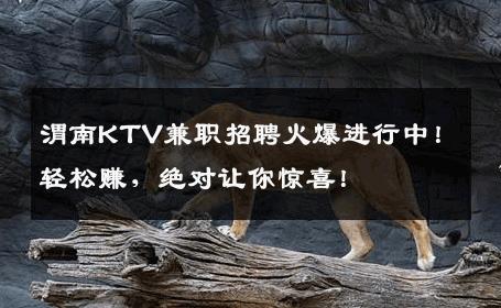 渭南KTV兼职招聘火爆进行中！轻松赚，绝对让你惊喜！