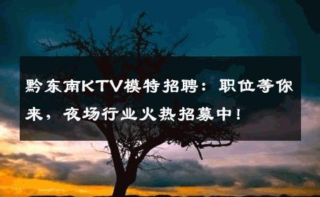 黔东南KTV模特招聘：职位等你来，夜场行业火热招募中！