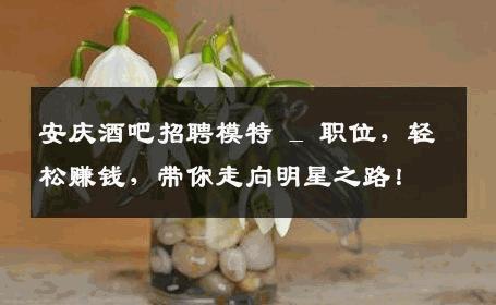安庆酒吧招聘模特 _ 职位，轻松赚钱，带你走向明星之路！