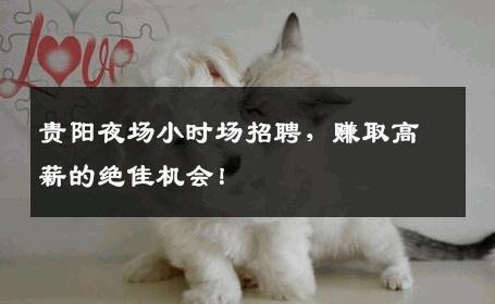 贵阳夜场小时场招聘，赚取高薪的绝佳机会！