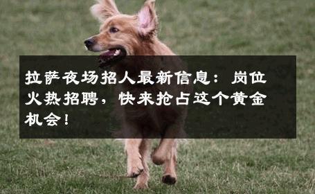 拉萨夜场招人最新信息：岗位火热招聘，快来抢占这个黄金机会！