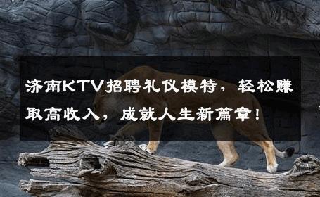 济南KTV招聘礼仪模特，轻松赚取高收入，成就人生新篇章！