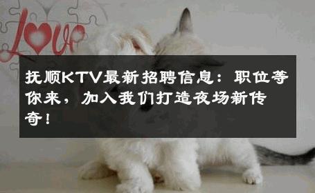 抚顺KTV最新招聘信息：职位等你来，加入我们打造夜场新传奇！