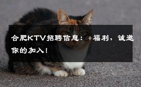 合肥KTV招聘信息：+福利，诚邀你的加入！