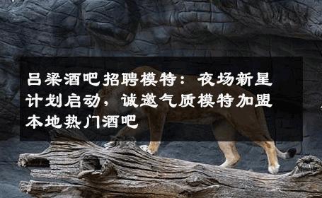 吕梁酒吧招聘模特：夜场新星计划启动，诚邀气质模特加盟本地热门酒吧