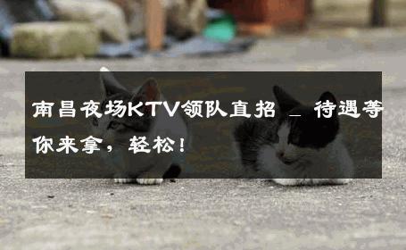 南昌夜场KTV领队直招 _ 待遇等你来拿，轻松！