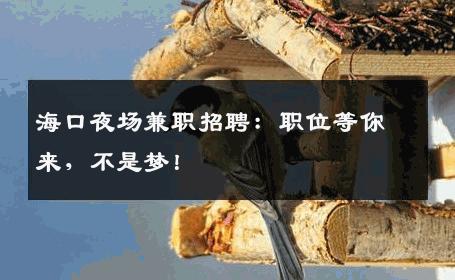 海口夜场兼职招聘：职位等你来，不是梦！