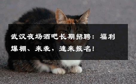 武汉夜场酒吧长期招聘：福利爆棚、来袭，速来报名！