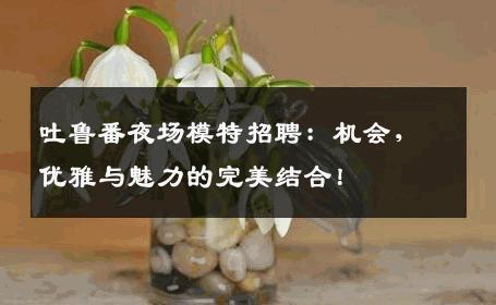 吐鲁番夜场模特招聘：机会，优雅与魅力的完美结合！