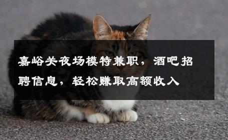 嘉峪关夜场模特兼职，酒吧招聘信息，轻松赚取高额收入