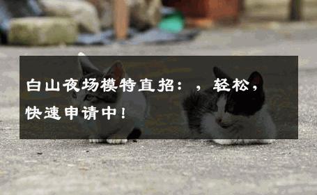 白山夜场模特直招：，轻松，快速申请中！