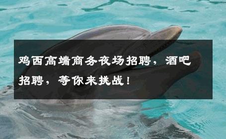 鸡西高端商务夜场招聘，酒吧招聘，等你来挑战！