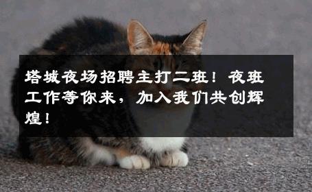 塔城夜场招聘主打二班！夜班工作等你来，加入我们共创辉煌！