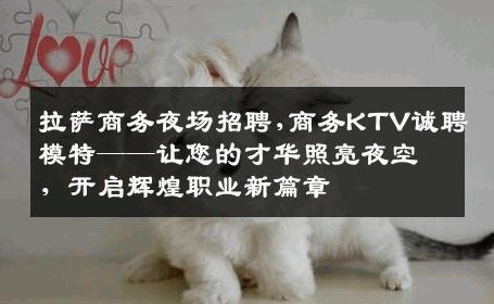 拉萨商务夜场招聘,商务KTV诚聘模特——让您的才华照亮夜空，开启辉煌职业新篇章