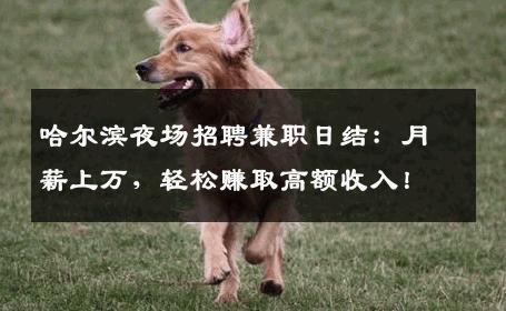 哈尔滨夜场招聘兼职日结：月薪上万，轻松赚取高额收入！