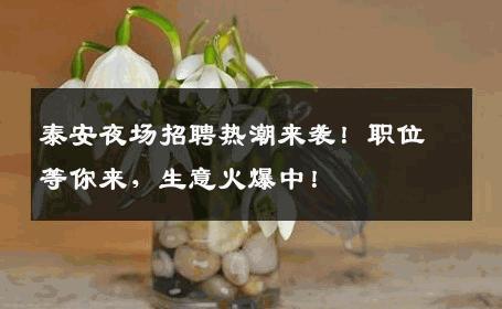泰安夜场招聘热潮来袭！职位等你来，生意火爆中！