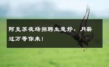 阿克苏夜场招聘生意好，月薪过万等你来！