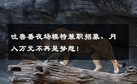 吐鲁番夜场模特兼职招募，月入万元不再是梦想！
