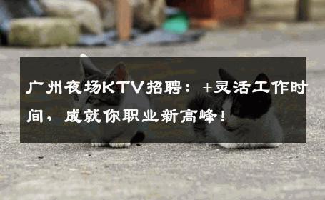 广州夜场KTV招聘：+灵活工作时间，成就你职业新高峰！