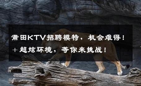 莆田KTV招聘模特，机会难得！＋超炫环境，等你来挑战！