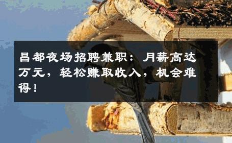 昌都夜场招聘兼职：月薪高达万元，轻松赚取收入，机会难得！