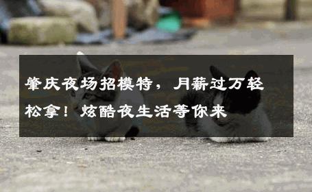 肇庆夜场招模特，月薪过万轻松拿！炫酷夜生活等你来